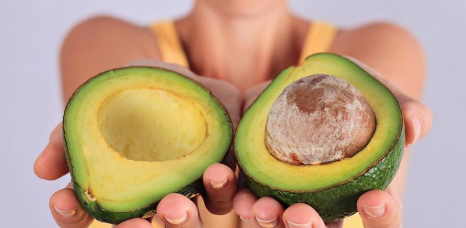 EL AGUACATE, FUENTE INAGOTABLE DE NUTRICIÓN