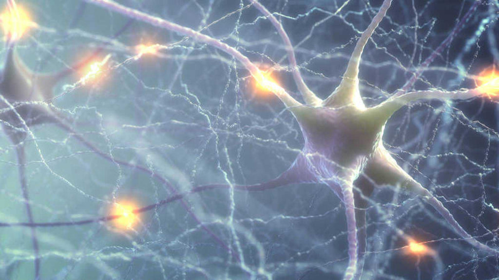 Un nuevo medio de comunicación neuronal descubierto en el cerebro humano