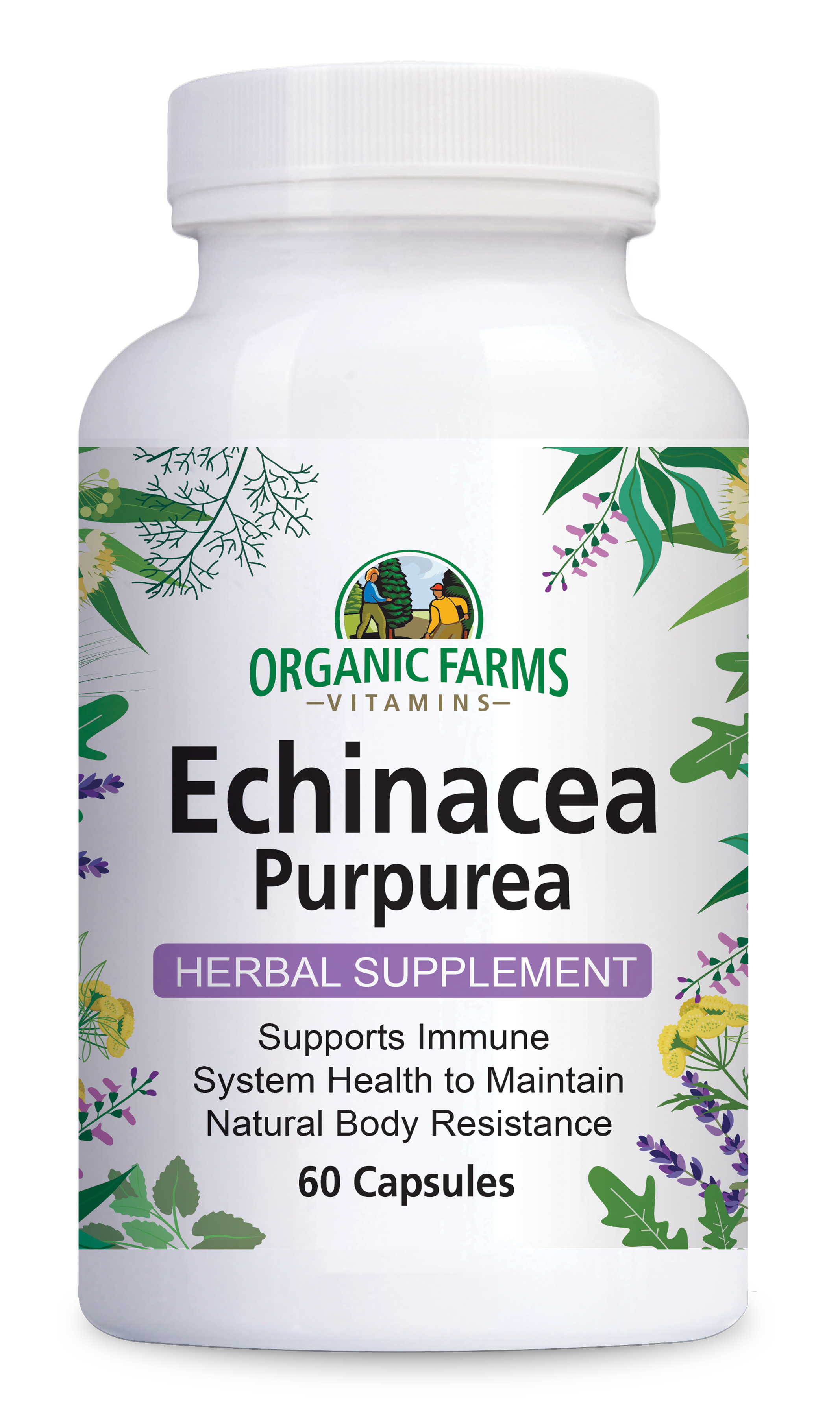 Echinacea Purpurea