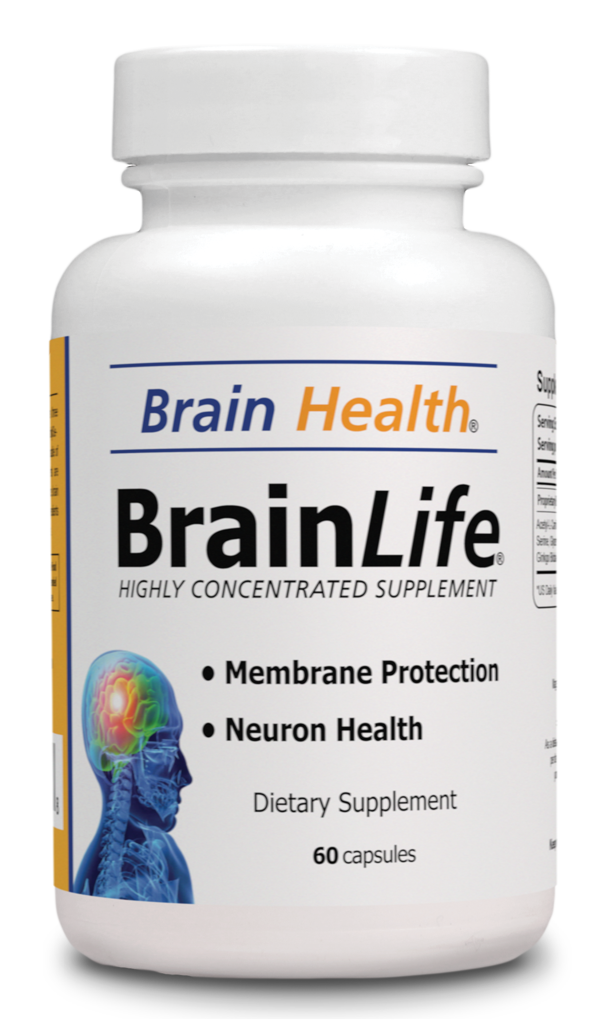 Brain Life