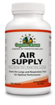 Air Supply