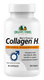 Collagen H