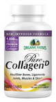 Dietary supplement collagen pure