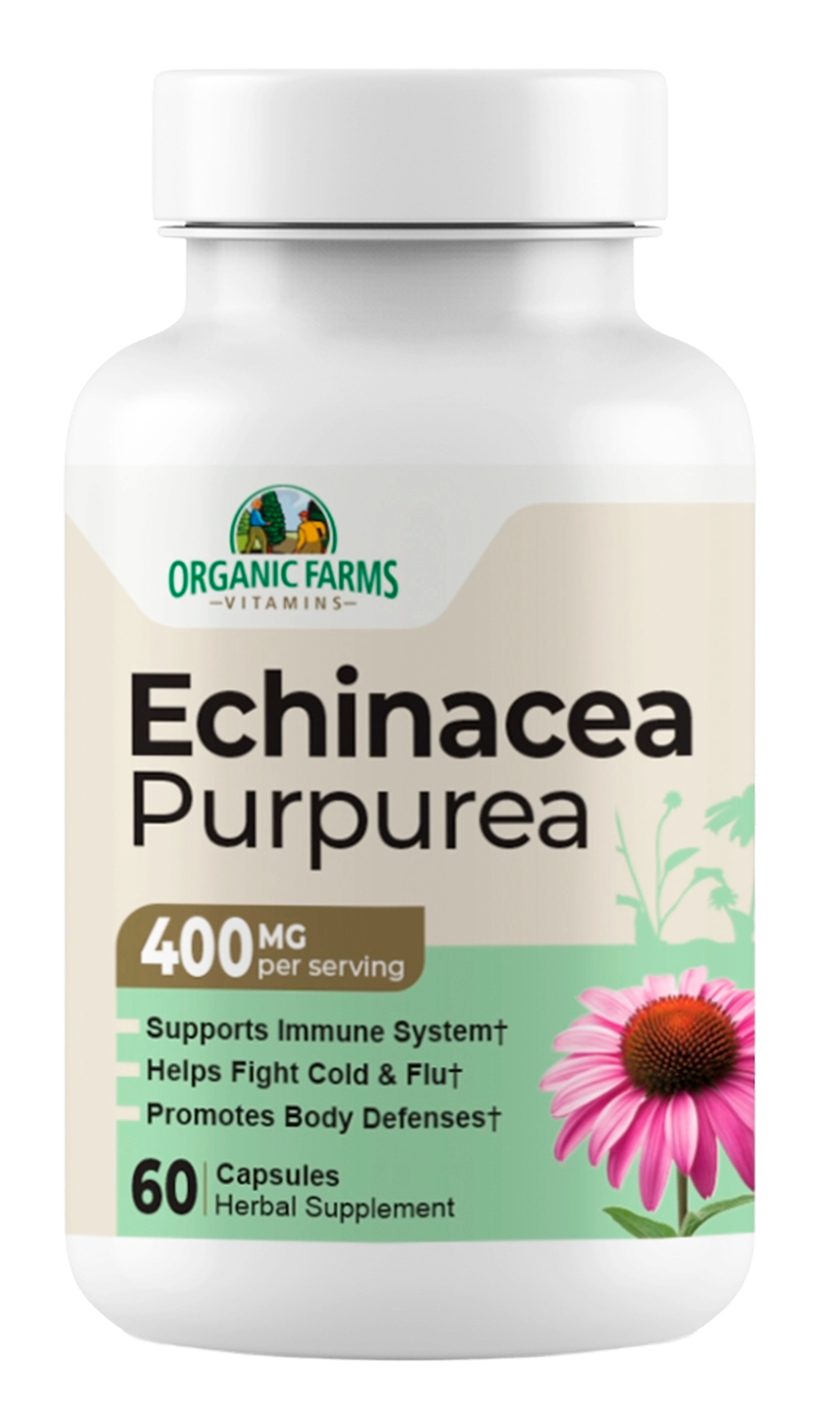 Echinacea Purpurea