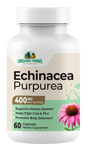 Echinacea Purpurea