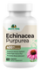 Echinacea Purpurea