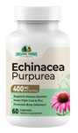 Echinacea Purpurea