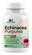 Echinacea Purpurea
