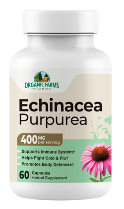 Echinacea Purpurea