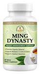 Ming Dynasty