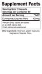 Echinacea Purpurea
