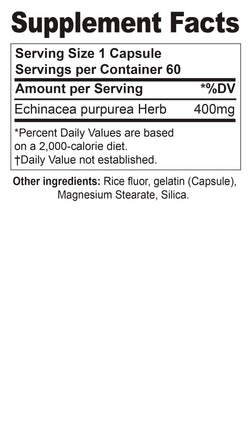Echinacea Purpurea