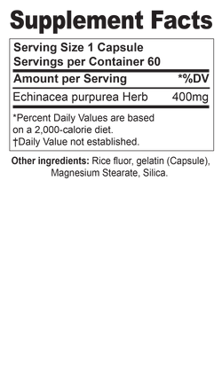 Echinacea Purpurea