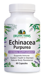 Echinacea Purpurea