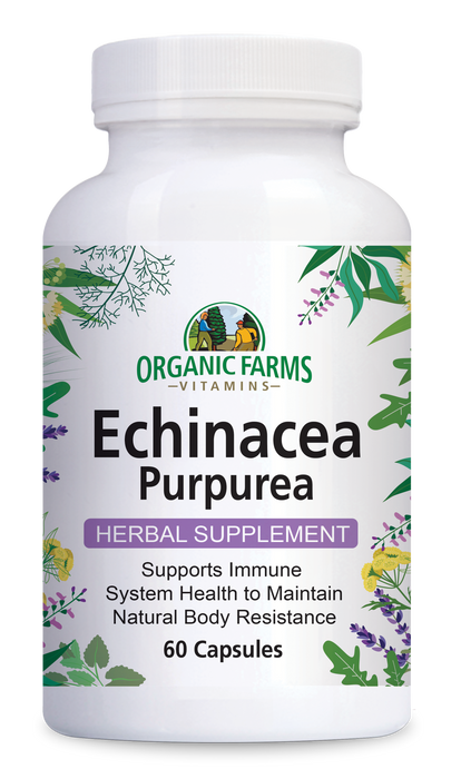 Echinacea Purpurea