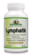 Lymphatik