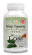 Ming Dynasty