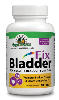 Bladder